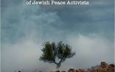 Tribal loyalties: personal stories of Jewish peace activists :: Avigail Abarbanel