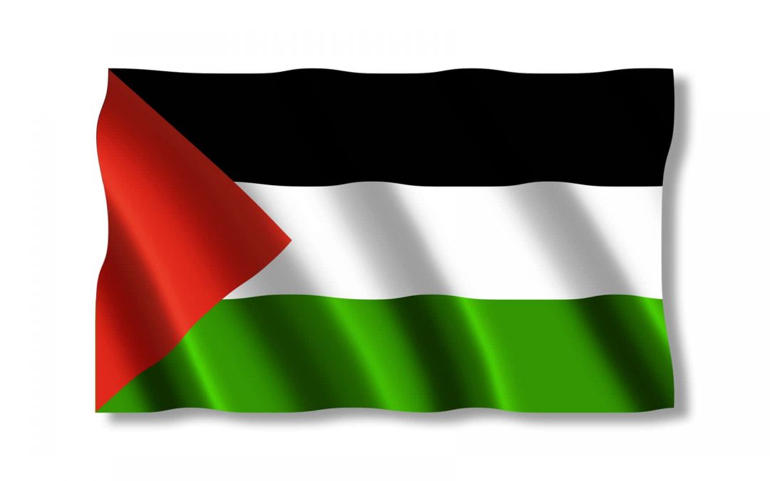 What are the implications of "non observer status" Palestine for progressives?